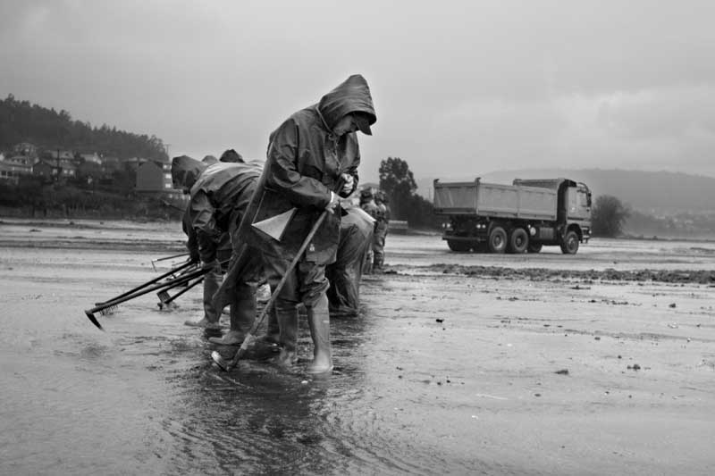 Mariscadoras trabajando mientras los camiones limpian los lodos provenientes de fuertes lluvias y a la escasez de árboles en el monte debido a los fuertes incendios